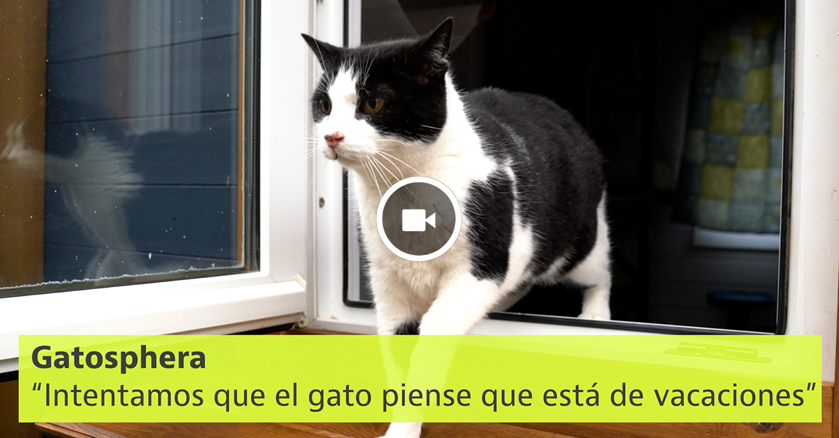 Gatosphera