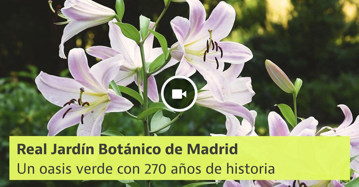 Jardín Botánico de Madrid