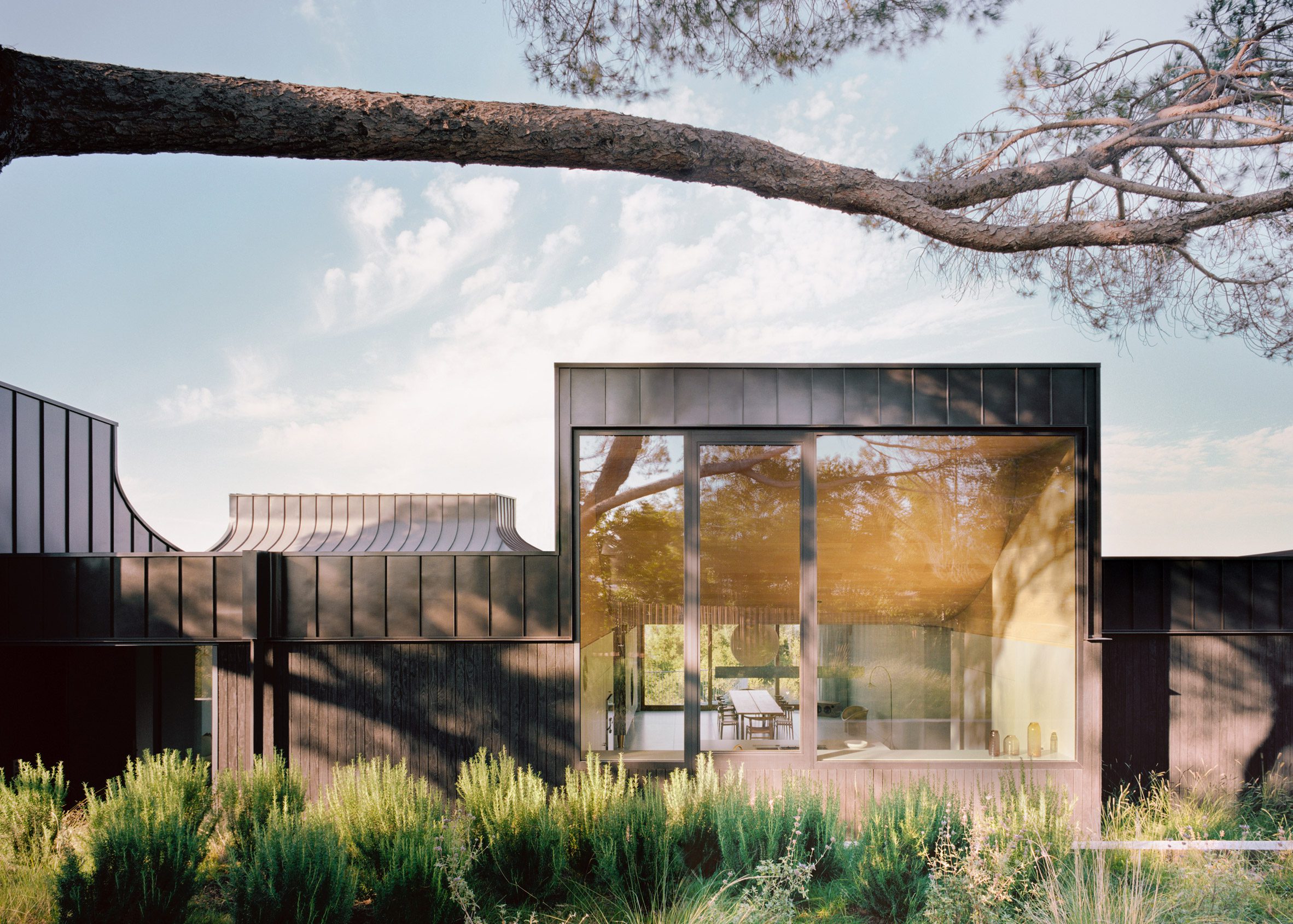 La Casa de los Cuernos, diseñada por WOJR, se eleva en Los Altos Hills y cuenta con vistas privilegiadas hacia la bahía de San Francisco.