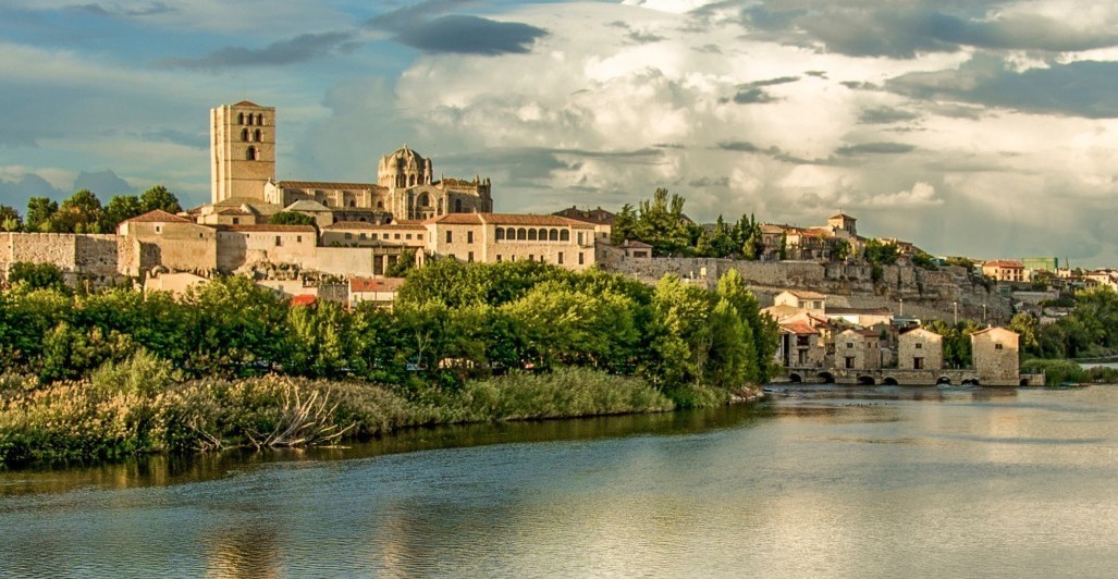 Zamora