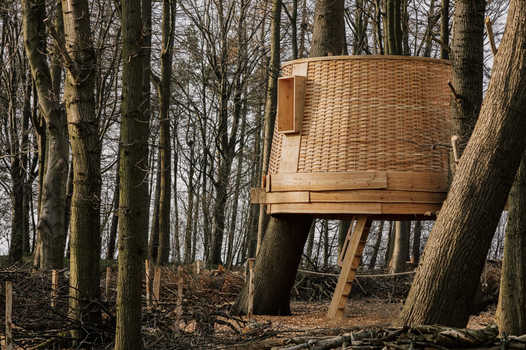 La casa del árbol se construyó para la Bienal de Harewood 2022, y se ubica en la pintoresca campiña de West Yorkshire.