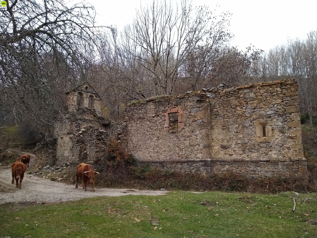 6 pueblos abandonados en Palencia que hoy ya no tienen vida