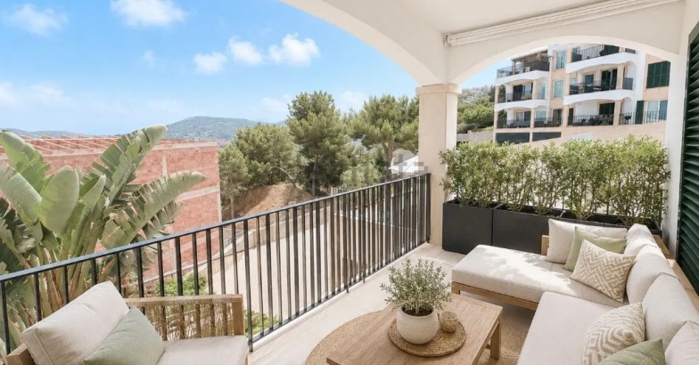 International demand for rental housing in Spain