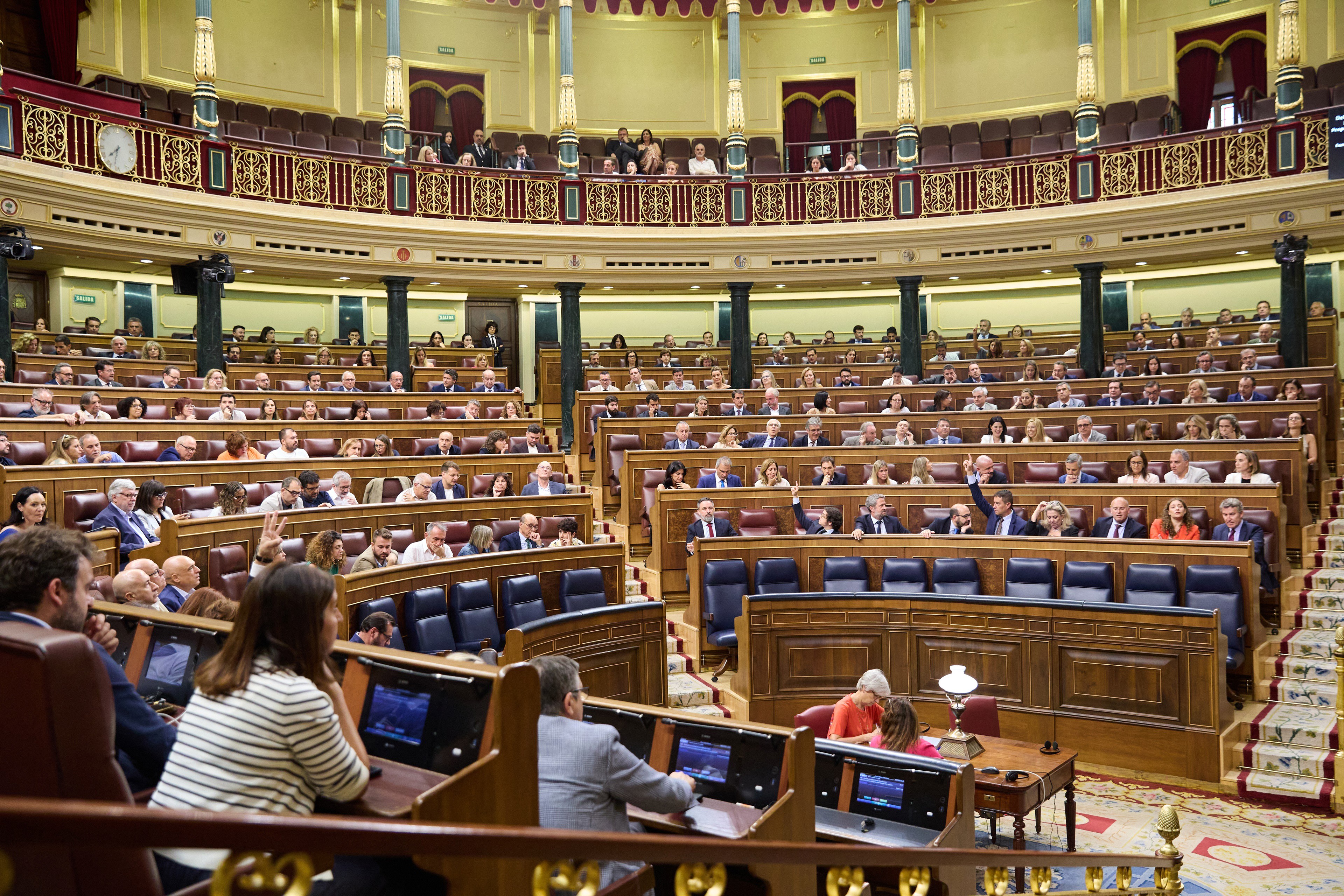 Hemiciclo durante el pleno extraordinario en el Congreso