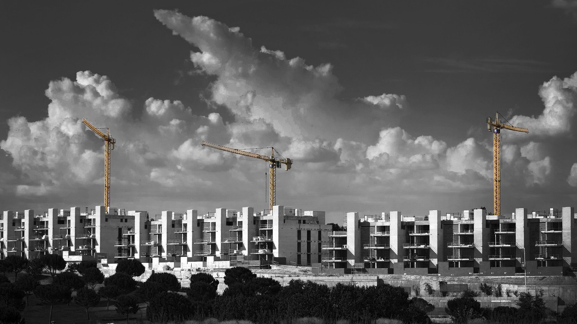 Paisaje de edificios con grúas de construcción