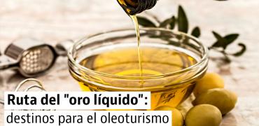 Ruta para conocer los mejores aceites de oliva de España