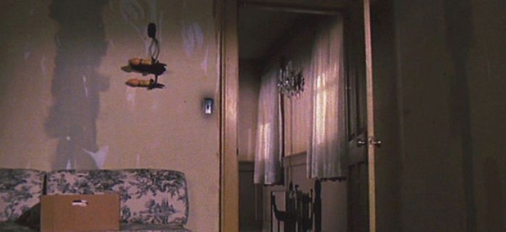 Amityville6