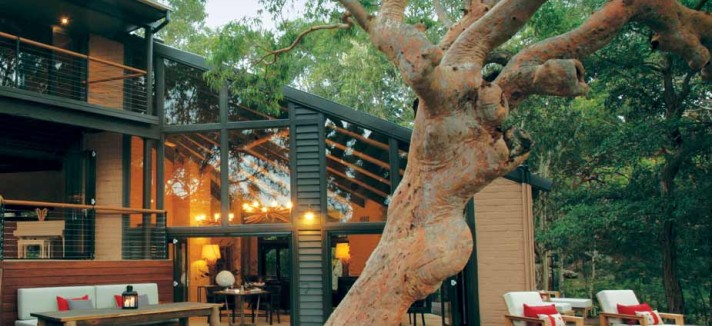 sydney-beachhouse-tree-deck