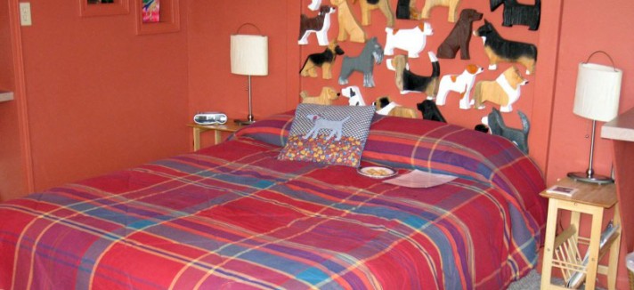 habitacion-hotel-perro