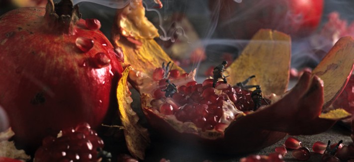 minimiam-5