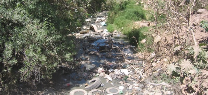 asentamientoirregularjalisco05