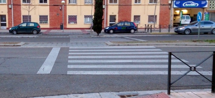 cebra_14