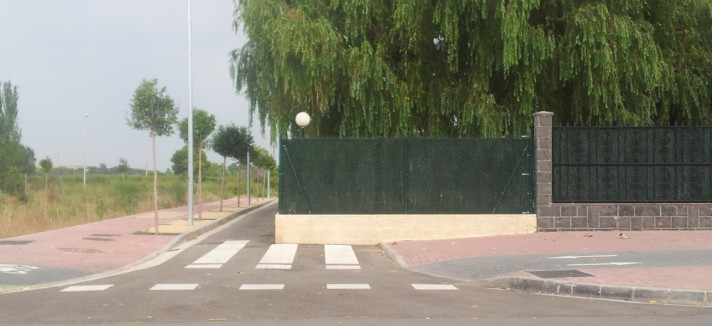 cebra_22