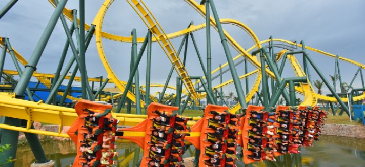 wanda-rainforest_eagle