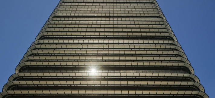 castellana81_frontal