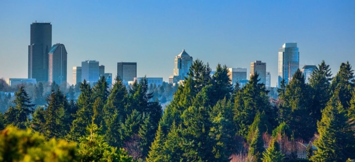 satya-nadellas-view-915891-1024x586