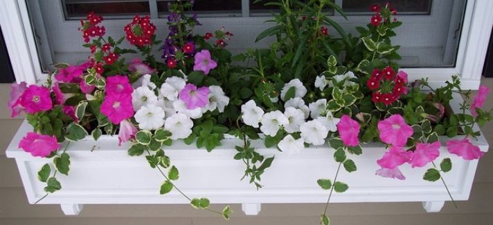 jardineras_01