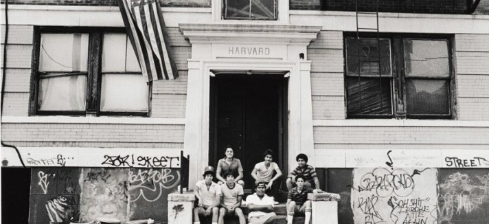 bronx_07