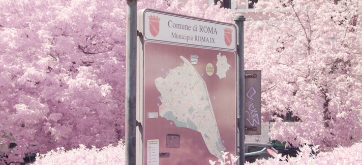 roma_rosa_08