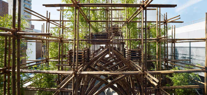 bambu_02