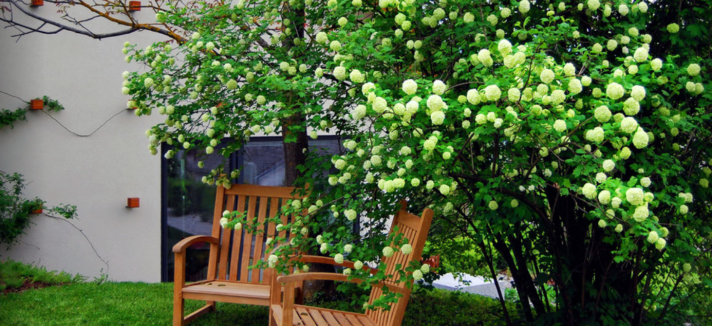 houzz3