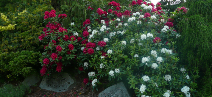 houzz4
