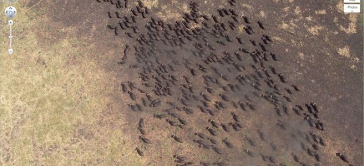 Coordenadas: 4°17’21.49? S 31°23’46.46? E