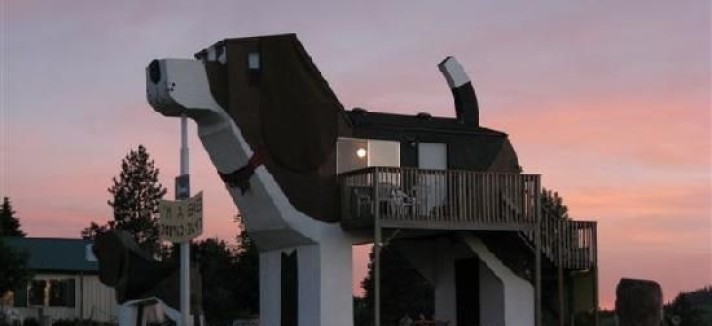Si te gustan los perros, esta casa es para ti
