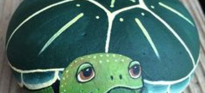 tortuga