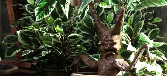 harry_potter_jardin_botanico_01