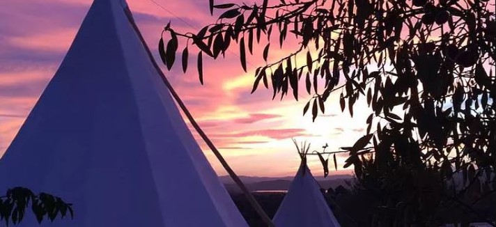 tipi2