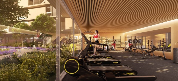 caledonian_gimnasio