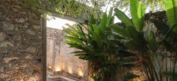 Un oasis dentro de casa