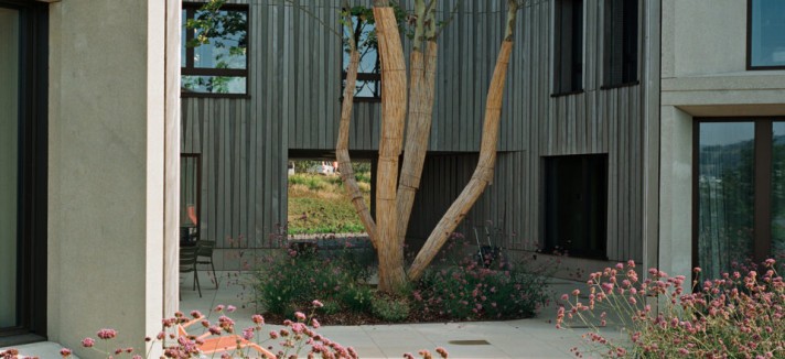 El árbol da personalidad a la casa