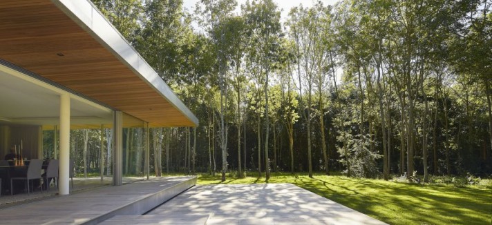 Está rodeada de un bosque