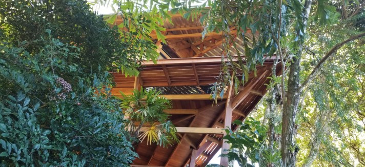 Parece la proa de un barco que surca la selva tropical