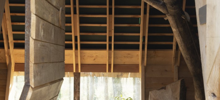 El árbol forma parte del diseño interior