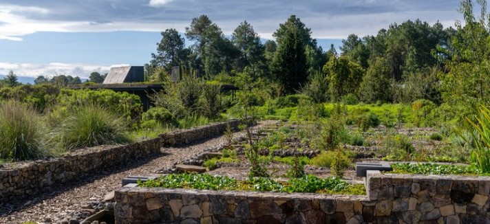 Jardñiny camino con la casa al fondo
