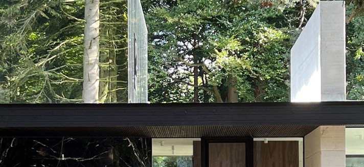Detalle de la entrada y jardín