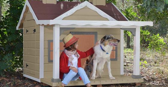 Ocho consejos prácticos que te ayudarán a preparar tu casa para vivir con un perro