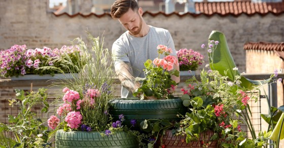 ¿Sabías que hay flores que florecen todo el año?