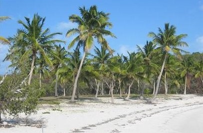 Islas exóticas en venta desde 2 millones de euros