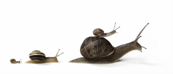 Comprar un piso puede empeorar tu vida laboral