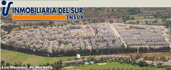 Inmobiliaria del Sur: un caso de éxito