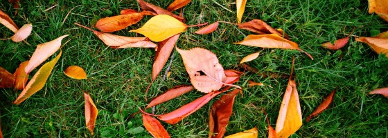 Los jóvenes españoles de hoy: la generación decepcionada
