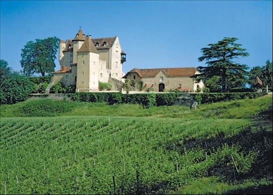 En venta el castillo de "d'Artagnan y los tres mosqueteros" (fotos)