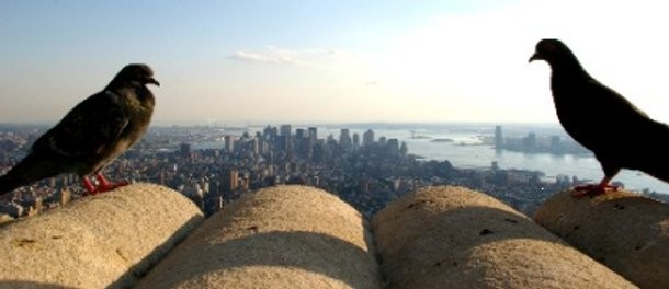 ¿Vendes tu casa? 5 formas de causar una buena impresión al comprador