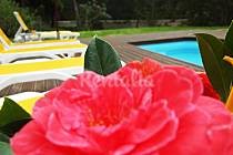 Top de casas en alquiler para este verano en lisboa