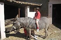 Top de casas en alquiler para este verano en el interior de España