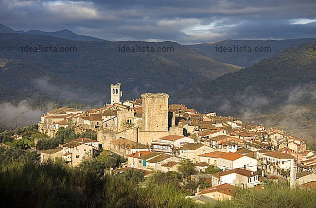 g_VW0000002481328_10_1251638136774